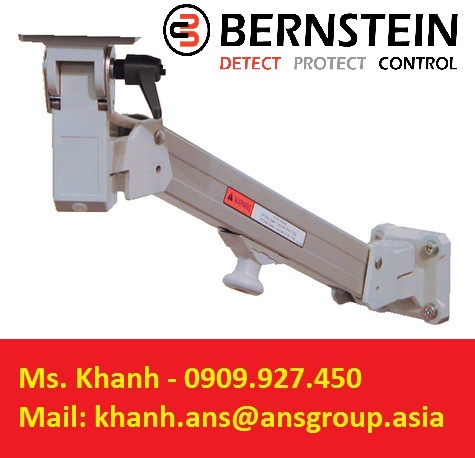 cs-1000-0-5-h-ral7035-minisuspension-arm-switch-bernstein.png