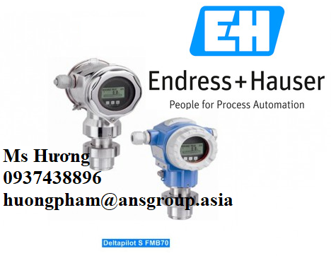 endress-hauser-1.png