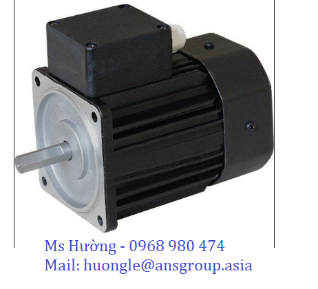 hv-cacw-medium-and-high-voltage-motors-ac-motoren-vietnam-ac-motoren-startseite-vietnam-ac-motoren-ans-vietnam-ans-vietnam.png