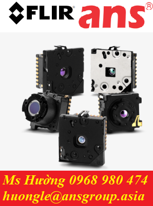 lwir-micro-thermal-camera-module.png