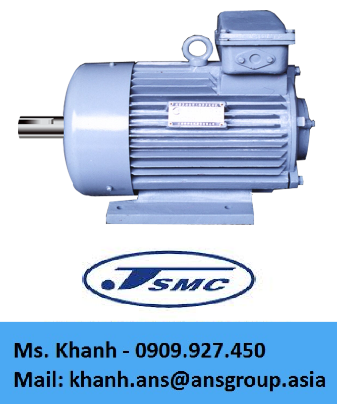 mo-to-yzpf280s-8mc-ak596-45kw-motor-include-encoder-jiangxi-special-motor-vietnam.png
