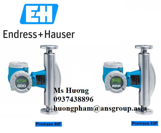 promass-80-83-endress-hauser.png