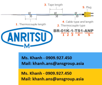 br-10k-1-ts1-anp-low-temperature-probes-anritsu-vietnam.png