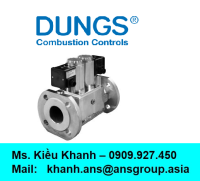 dmv-50050-solenoid-valve-dungs-vietnam.png
