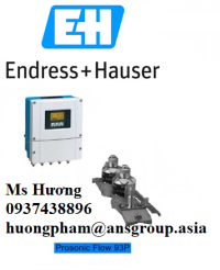 dong-ho-do-luu-luong-theo-nguyen-ly-sieu-am-endress-hauser-prosonic-flow-93p-clamp-on.png