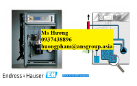 endress-hauser-11.png