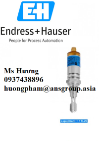 endress-hauser-2.png