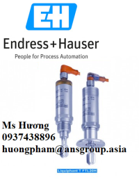 endress-hauser-3.png