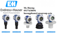 endress-hauser-6.png