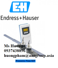 prosonic-flow-93t-endress-hauser.png